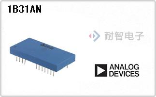 1B31AN