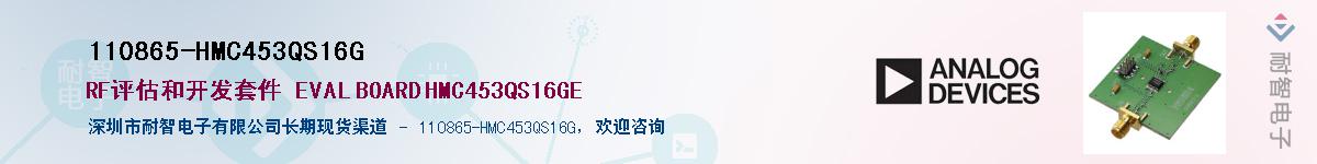 110865-HMC453QS16GӦ-ǵ