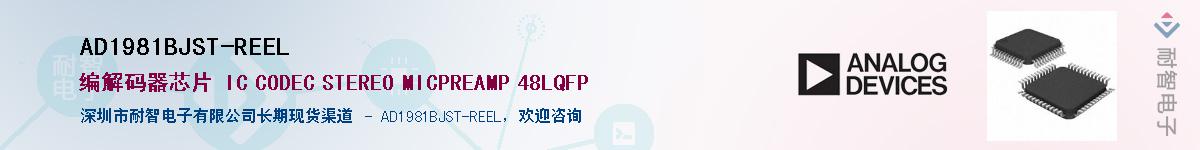 AD1981BJST-REEL��Ӧ��-���ǵ���