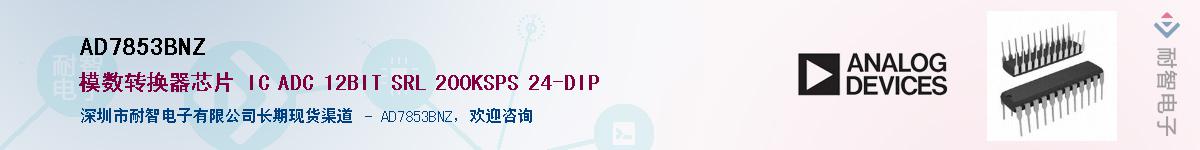 AD7853BNZ��Ӧ��-���ǵ���