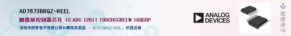 AD7873BRQZ-REEL��Ӧ��-���ǵ���