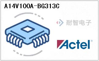 A14V100A-BG313C