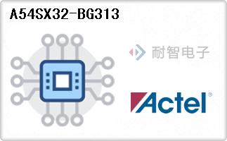 A54SX32-BG313