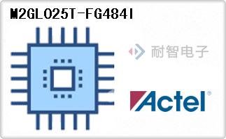 M2GL025T-FG484I