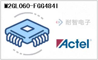 M2GL060-FGG484I
