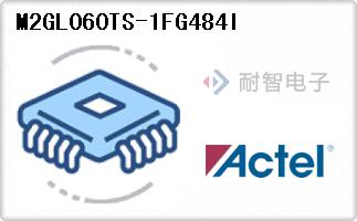 M2GL060TS-1FG484I