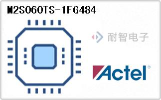 M2S060TS-1FG484