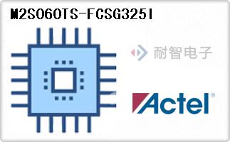 M2S060TS-FCSG325I