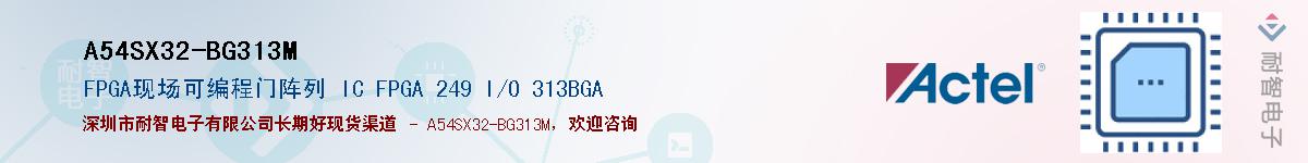 A54SX32-BG313MӦ-ǵ