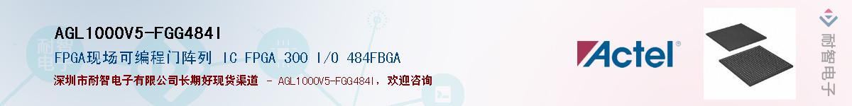 AGL1000V5-FGG484IӦ-ǵ
