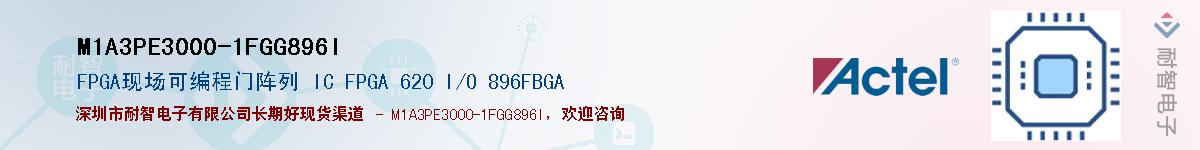 M1A3PE3000-1FGG896IӦ-ǵ