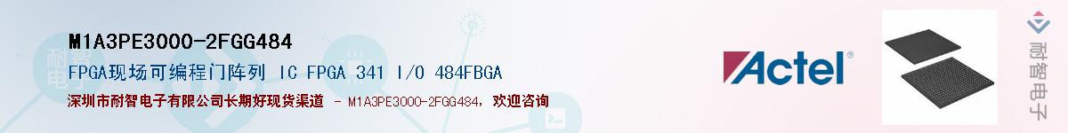 M1A3PE3000-2FGG484Ӧ-ǵ