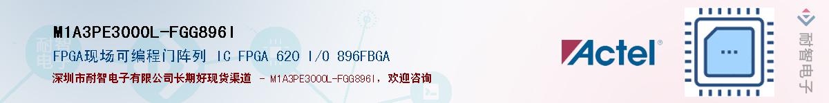 M1A3PE3000L-FGG896IӦ-ǵ