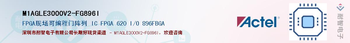 M1AGLE3000V2-FG896IӦ-ǵ