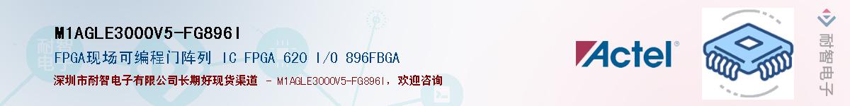 M1AGLE3000V5-FG896IӦ-ǵ