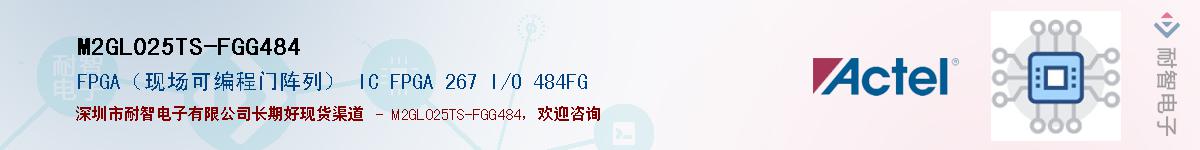 M2GL025TS-FGG484Ӧ-ǵ