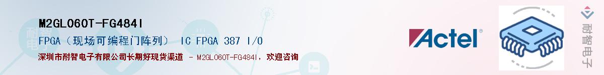 M2GL060T-FG484IӦ-ǵ