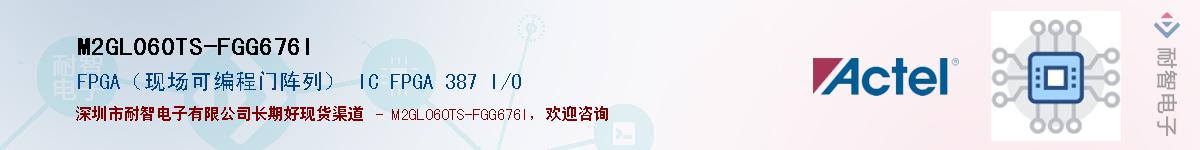 M2GL060TS-FGG676IӦ-ǵ