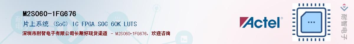 M2S060-1FG676Ӧ-ǵ