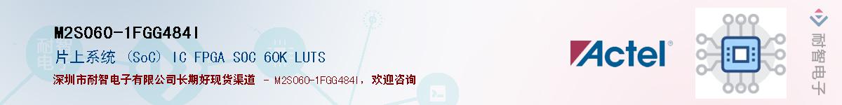 M2S060-1FGG484IӦ-ǵ