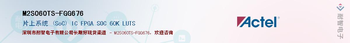 M2S060TS-FGG676Ӧ-ǵ