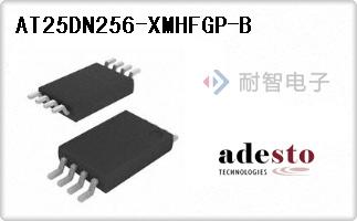 AT25DN256-XMHFGP-B代理