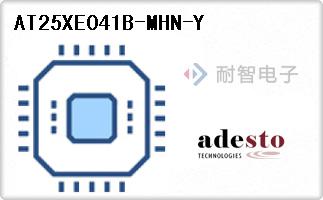 AT25XE041B-MHN-Y