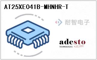 AT25XE041B-MHNHR-T