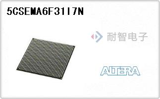 5CSEMA6F31I7N