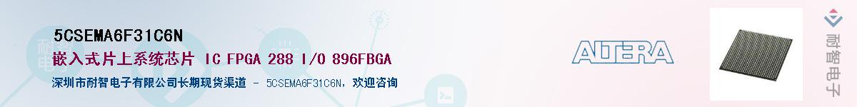 5CSEMA6F31C6NӦ-ǵ