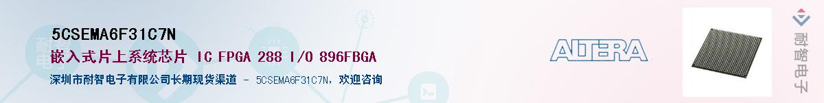 5CSEMA6F31C7NӦ-ǵ