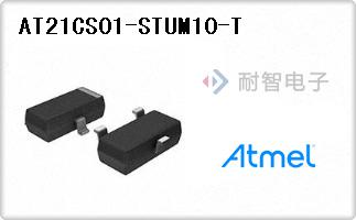 AT21CS01-STUM10-T