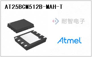 AT25BCM512B-MAH-T