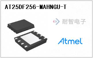 AT25DF256-MAHNGU-T