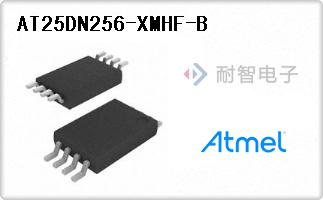 AT25DN256-XMHF-B