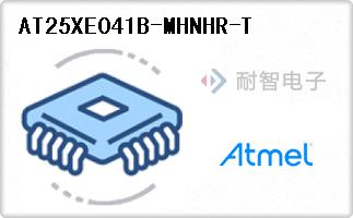 AT25XE041B-MHNHR-T