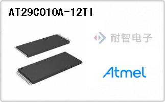 AT29C010A-12TI