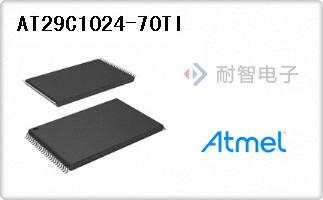 AT29C1024-70TI
