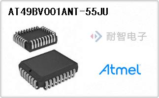 AT49BV001ANT-55JU