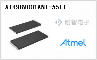 AT49BV001ANT-55TI