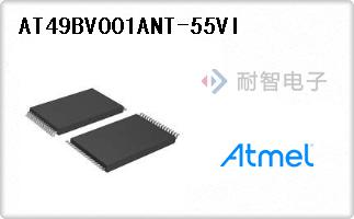 AT49BV001ANT-55VI