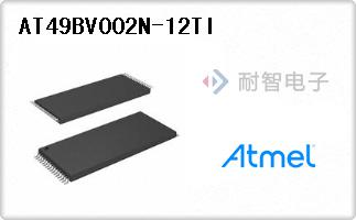AT49BV002N-12TI