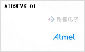 AT89EVK-01