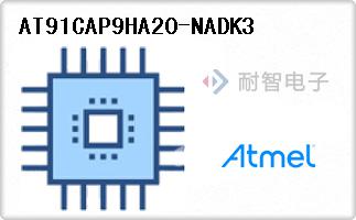 AT91CAP9HA20-NADK3