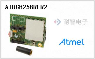 ATRCB256RFR2