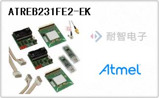 ATREB231FE2-EK