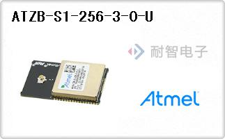ATZB-S1-256-3-0-U