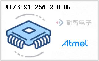 ATZB-S1-256-3-0-UR