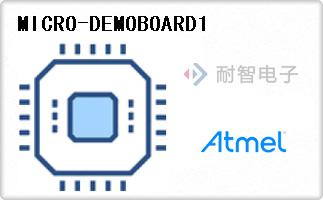 MICRO-DEMOBOARD1