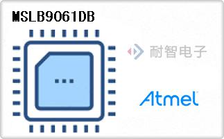 MSLB9061DB